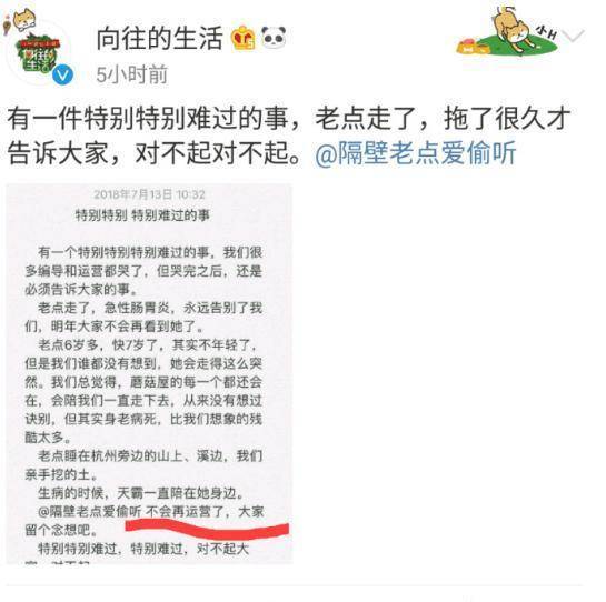 《向往的生活》小羊小不点去世 小不点去和妈妈团聚了!