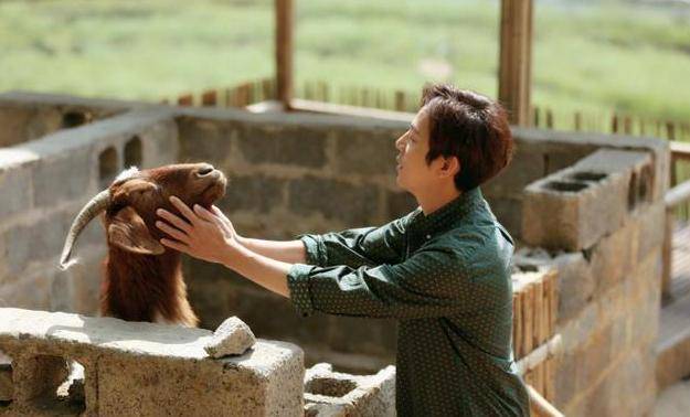 《向往的生活》小羊小不点去世 小不点去和妈妈团聚了!