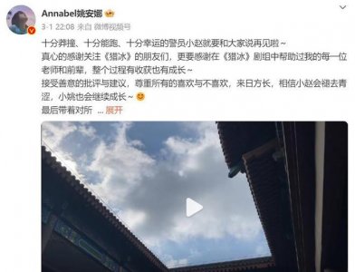 姚安娜、向佐演技惹争议,媒体的点评可谓一针见血!