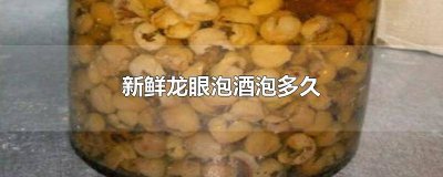 龙眼干泡酒要泡多久才能喝 新鲜龙眼泡酒方法