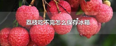没冰箱荔枝怎么保存 没冰箱如何保存荔枝