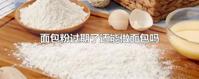 面包粉会不会过期 过期的面包粉能做什么