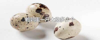 鹌鹑蛋一斤大概几个 鹌鹑蛋大概多少个有一斤