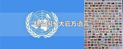 联合国五大官方语言是哪五个? 联合国六大国际语言