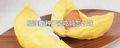 榴莲种子能生吃吗? 榴莲种子生吃能吃吗