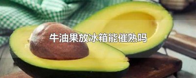 牛油果熟了怎么储存 牛油果催熟和保存方法