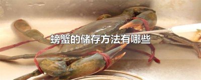 螃蟹如何保存方法 螃蟹保存方法保鲜