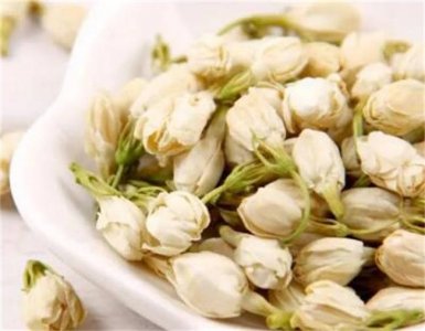 茉莉花茶怎么区分好坏 怎么区别茉莉花茶好坏