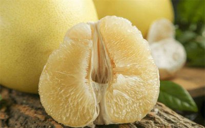 吃药不能吃柚子嘛 吃药不可以吃柚子