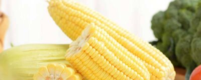 玉米棒怎么存放才能保持时间长 玉米棒怎么存放新鲜好吃