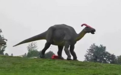 美国发现了一只活恐龙在路上乱窜引发农场主报警