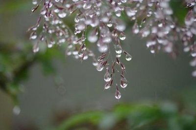 我国农村寒露节有哪些习俗?