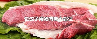 包饺子用什么位置的猪肉 包饺子用猪肉的什么部位的肉
