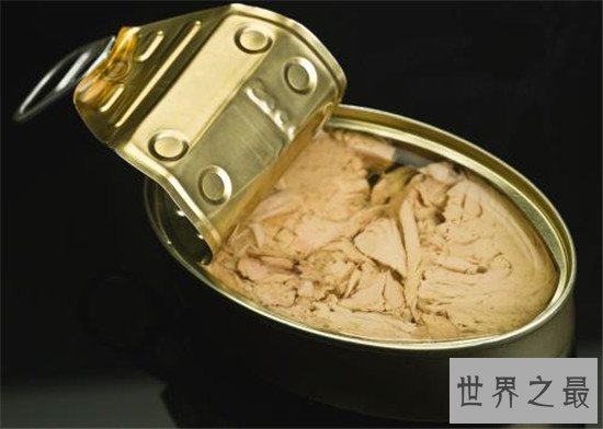 金枪鱼罐头含有丰富优质蛋白质,但长期食用会导致消化问题