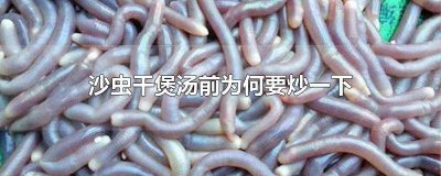 沙虫干怎么煲汤最好喝 沙虫干怎么煲汤好吃