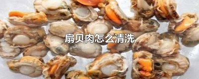 冷藏扇贝肉怎么清洗 扇贝肉怎么清洗才干净