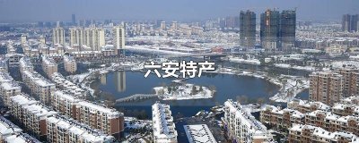 六安特产有哪些土特产 六安特产小吃