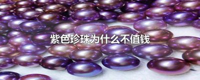 一个紫色珍珠价值多少 有紫色的珍珠吗