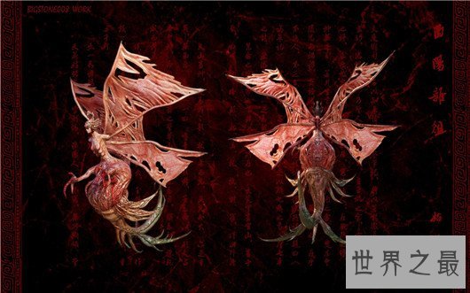 阴阳师sr式神排名,遇到这些sr式神可以好好培养一下