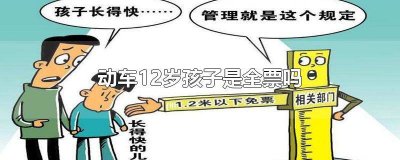 12岁孩子坐动车买什么票 12岁儿童动车会半票吗?
