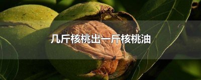 几斤核桃出一斤核桃油保质期是 几斤核桃出一斤核桃油核