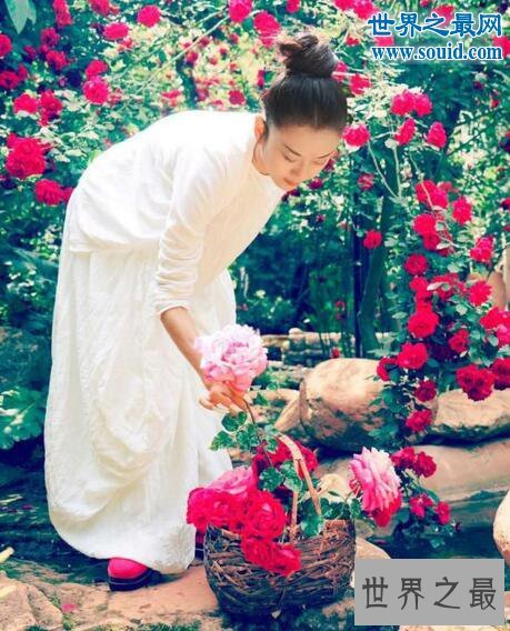 娱乐圈十大不老女神,奶奶的年纪看着像妹妹