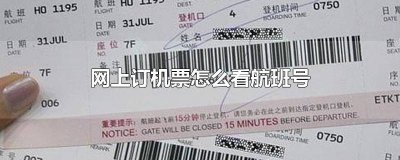 如何查看飞机票号 怎么用机票号查询航班