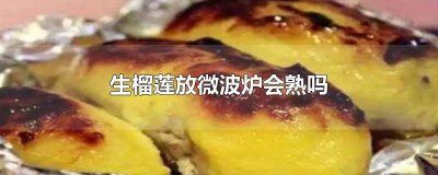 榴莲不熟放在微波炉加热会熟吗 榴莲没熟透可以放微波炉转吗