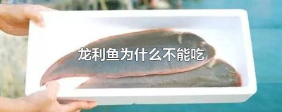 龙利鱼能吃吗怎么做 龙利鱼能吃不