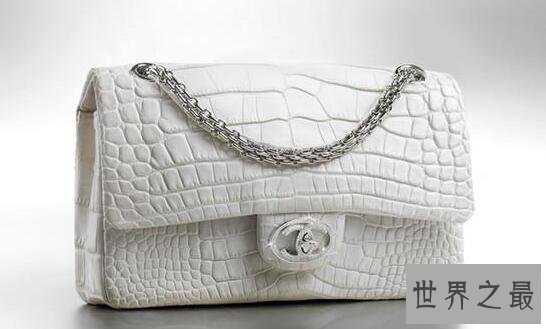 世界十大最贵的女包,一千零一夜钻石包价值2319万