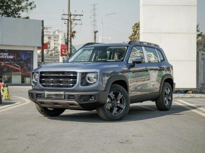 ​哈弗大狗新款落地价是多少钱？哈弗大狗价格