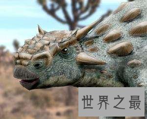 牛头怪甲龙非怪物,而是长得呆萌的恐龙