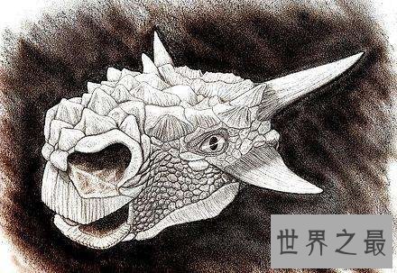 牛头怪甲龙非怪物,而是长得呆萌的恐龙