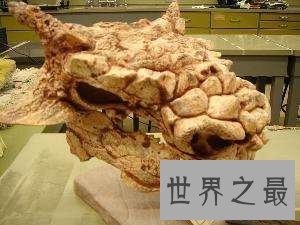 牛头怪甲龙非怪物,而是长得呆萌的恐龙