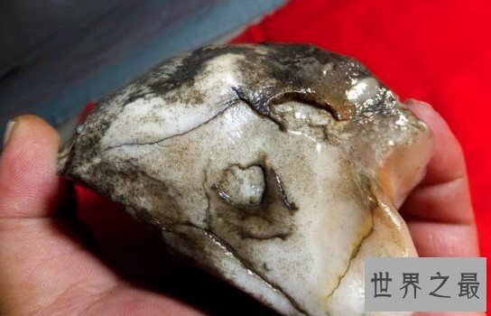 世界上最大的玉原石,足足有2间房子那么大