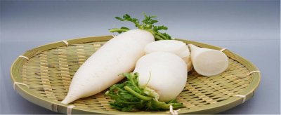 白萝卜的营养与功效与作用 白萝卜的营养与功效与作用禁忌
