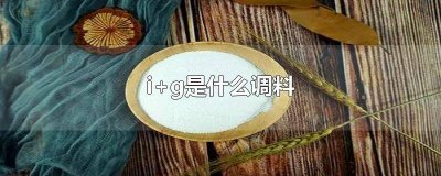 A+G是什么调料 调料i+g