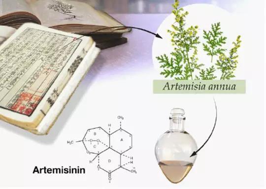 屠呦呦和戚发轫哪位名人的名字源于《诗经》