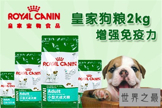 狗狗家长们快看过来,狗粮什么牌子好