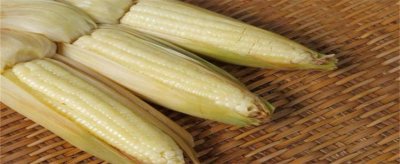 请问降血脂吃什么最好 吃什么比较降血脂