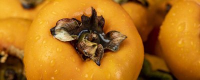 柿子可以在太阳底下晒吗 柿子能晒太阳催熟吗视频