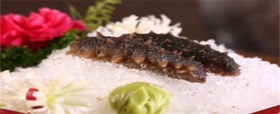 海参能补充什么 海参吃了有什么效果补什?