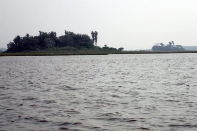 ​玻利维亚或拥有第五个古人类植物种植区