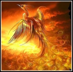 飞上枝头变凤凰(飞上枝头变凤凰的上一句)