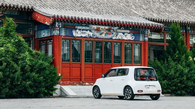 9800万吸猫人新宠,它叫欧拉白猫,售7.58 万起!-