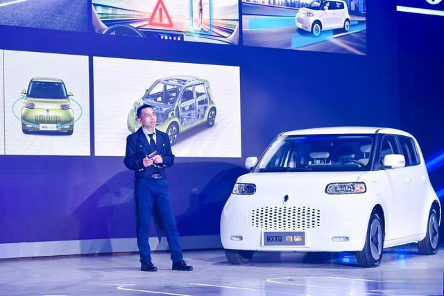 9800万吸猫人新宠,它叫欧拉白猫,售7.58 万起!-