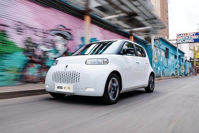 9800万吸猫人新宠,它叫欧拉白猫,售7.58 万起!-