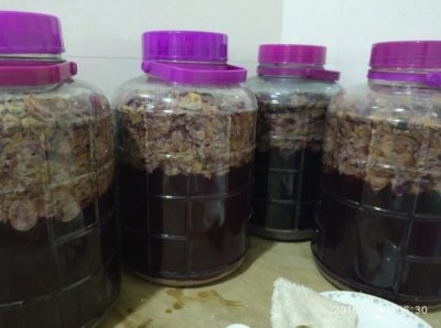 制酿葡萄酒颜色,做葡萄酒颜色浅需要什么