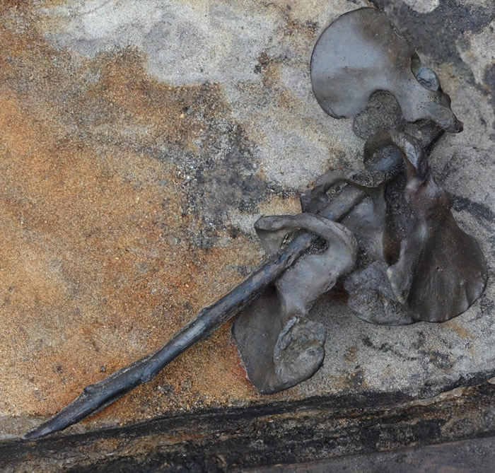 骨块相信属古罗马人跟日耳曼人交战时的牺牲者。