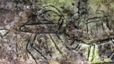 ​土耳其南部阿塔图尔克湖大坝周围岩石上发现旧石器时代狩猎石刻